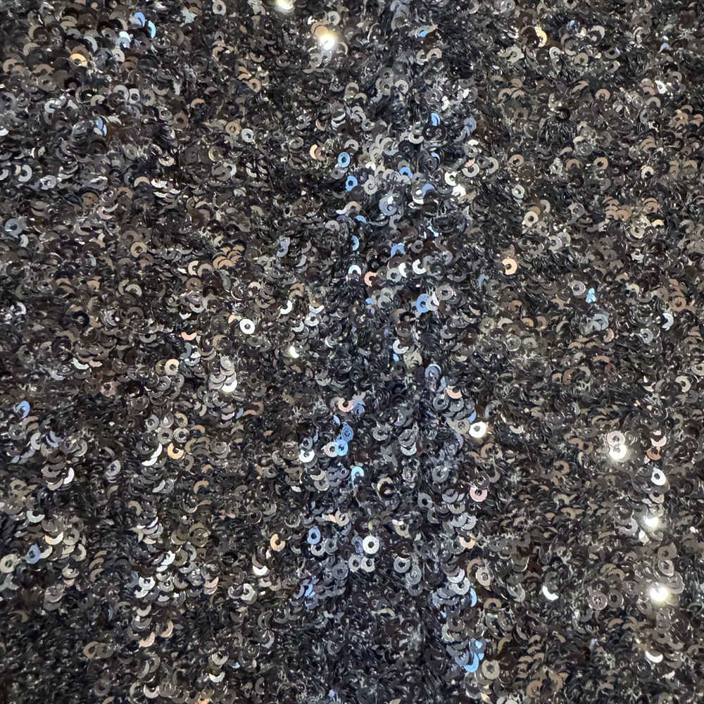J Crew Silver Sequin floor length slip dress Size 6 - Picture 9 of 9